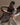 yvy-sandro-baebler-ballet
